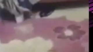 حفلة جنس صعبة مع فتاة تركية في كل وضعية إكس إكس إكس