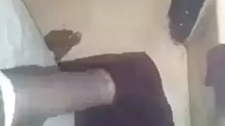 الهرة الأكل مثقوب الهرة شمام